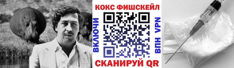 COCAIN FishScale  купить  цена  Котово 