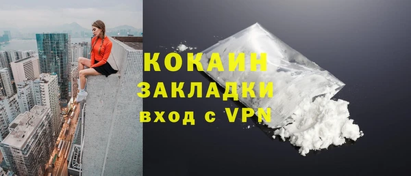молекула духа Белоозёрский