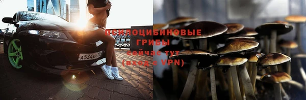 шишки Балахна