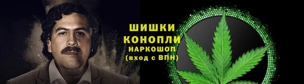 мет Белокуриха