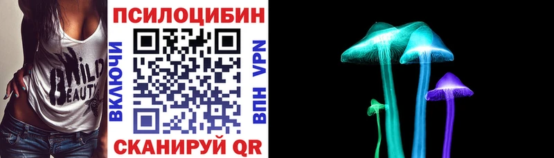 блэк спрут зеркало  купить   Котово  Галлюциногенные грибы Psilocybine cubensis 