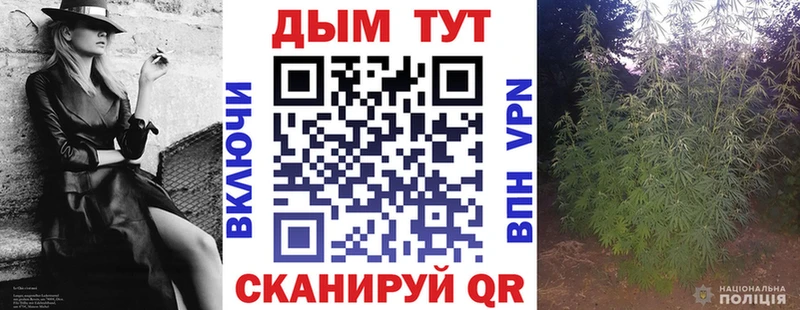 где найти   Котово  MEGA ссылка  Канабис план 
